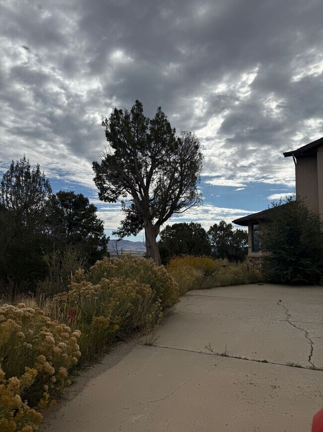 Building Photo - Charming Southwestern Stucco Home