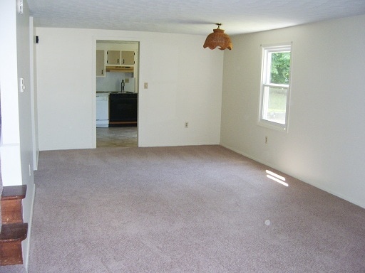 Building Photo - 104 Longmeadow Ln