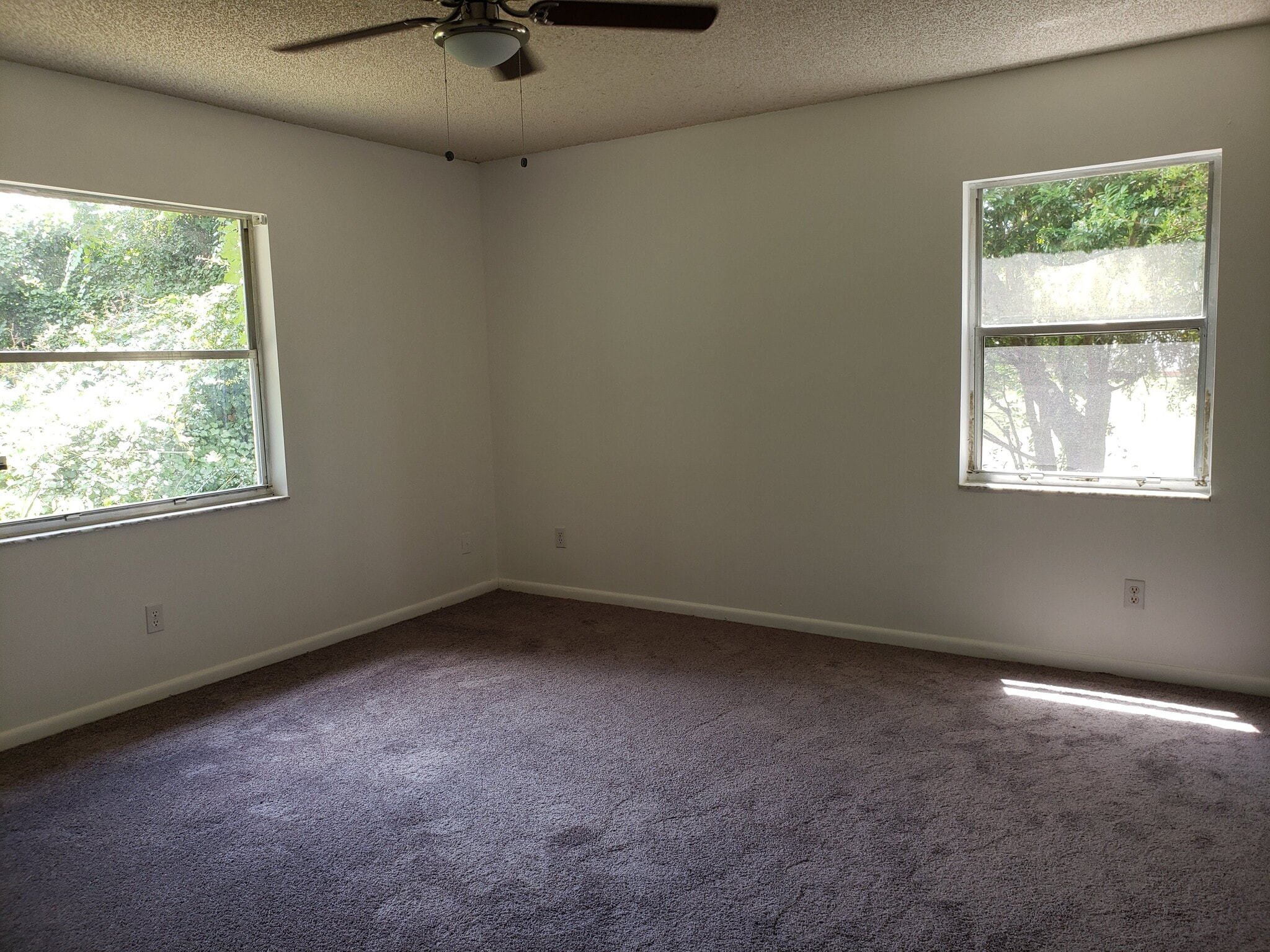 Bedroom 1 - 41 Hydrangea Ln