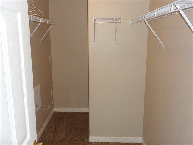Building Photo - 12034 Citrus Leaf Dr