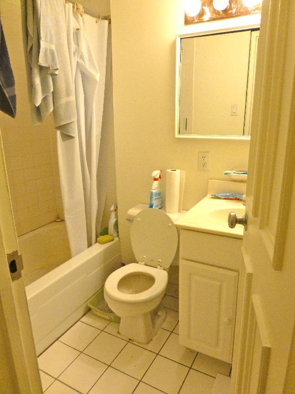 Building Photo - 185 Freeman St