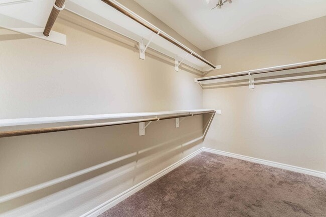 Building Photo - Modern Luxury Living Space!
