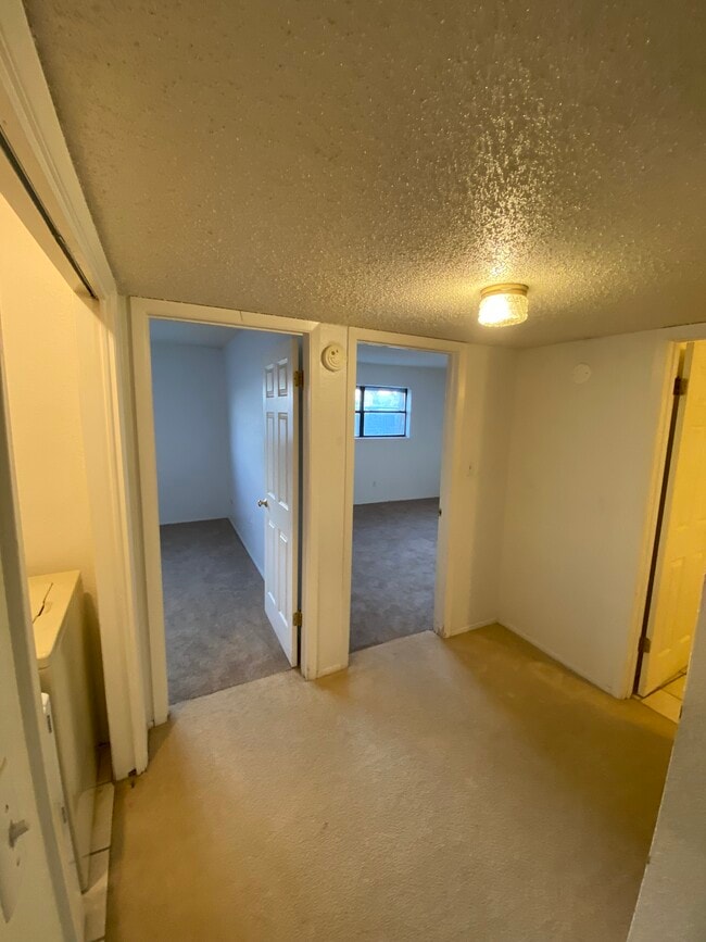 Building Photo - 100 Golden Sand Dr