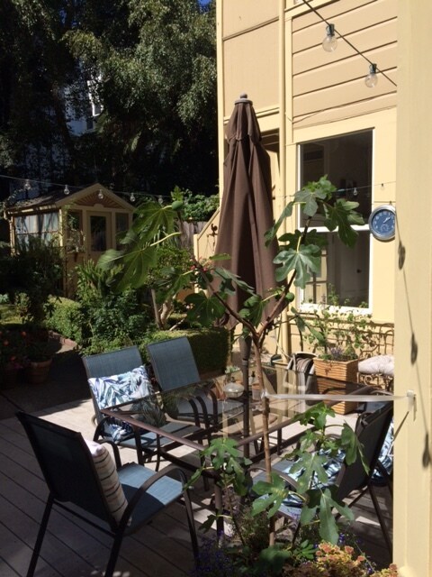 GARDEN DECK - 1282 Guerrero St