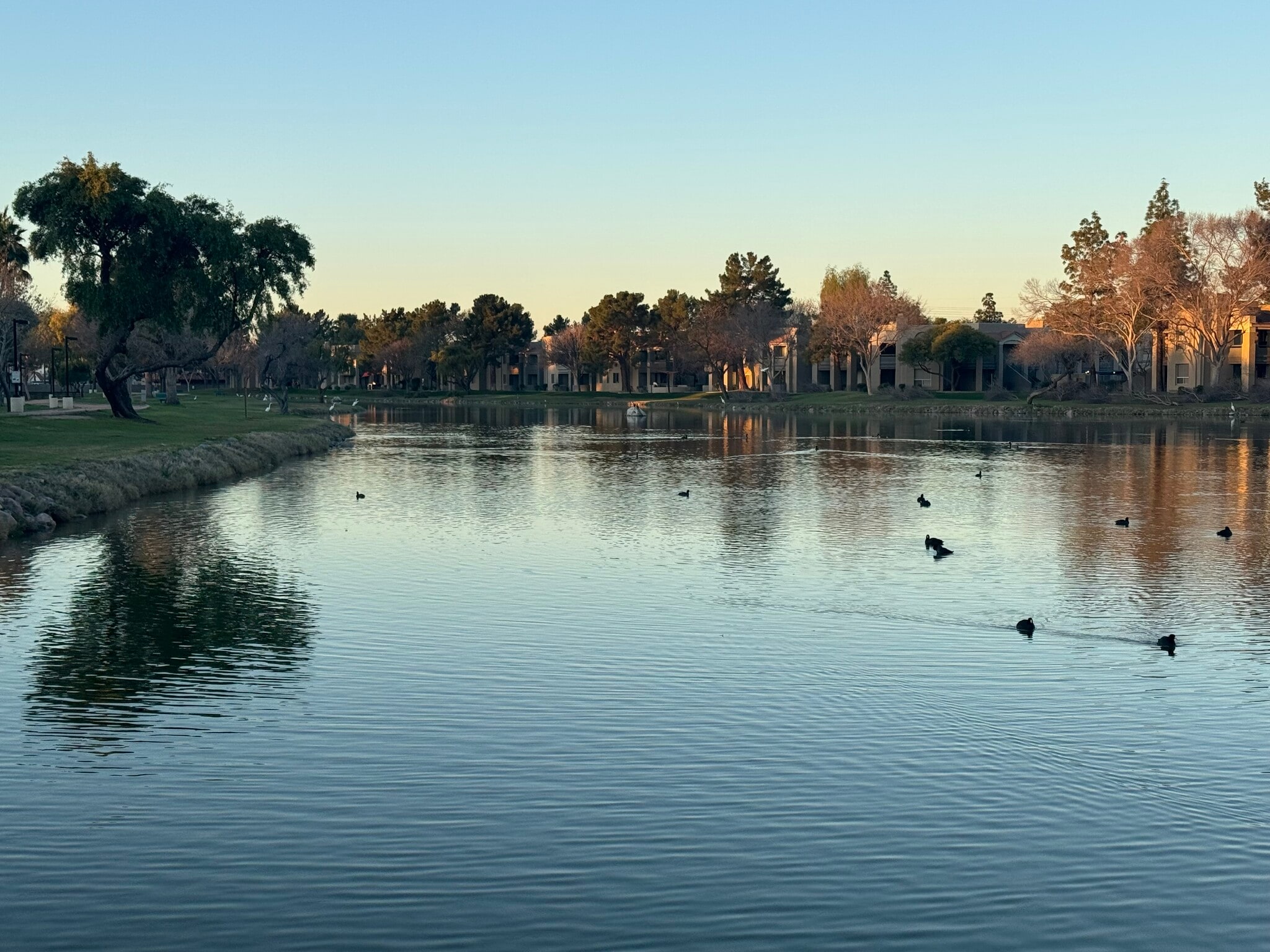 Nearby Gila Springs Park and Pond - 300 N Gila Springs Blvd
