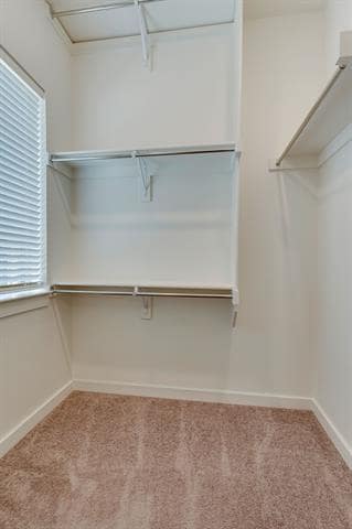 Building Photo - 1209 Casselberry Dr