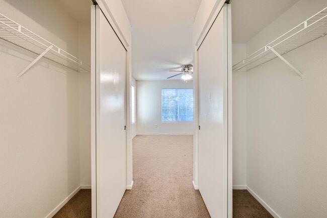 Building Photo - 1908 Mountain Hills Ct