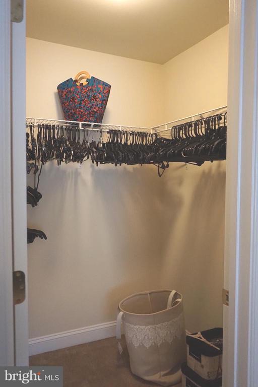 Building Photo - 901 Pine Forest Ln