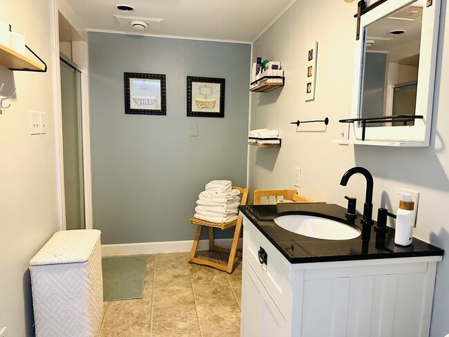 Bathroom Lower level - 3202 N Kingsley Dr