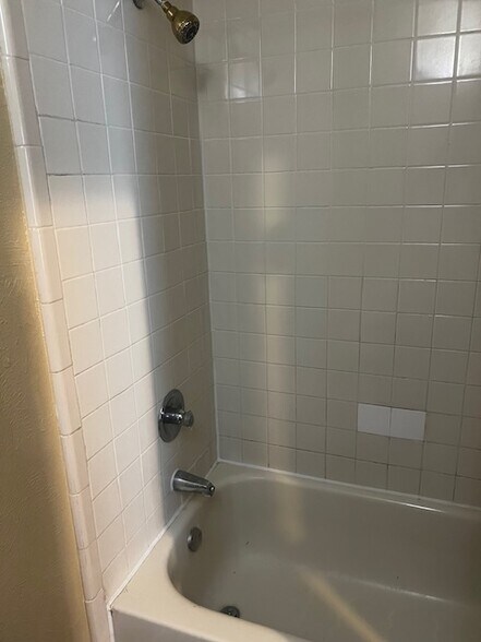 2nd Bathroom Tub - 10500 Lake June Rd