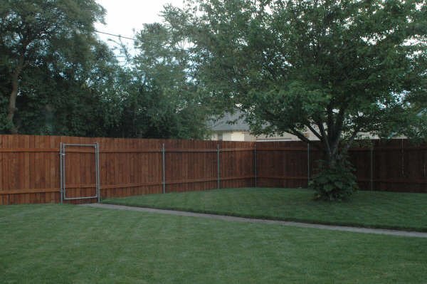 Back Fenced Yard - 802 N 8th Ave