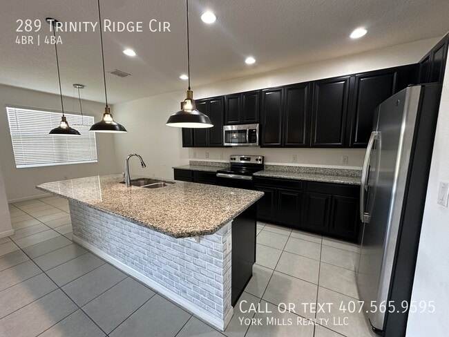 Building Photo - 289 Trinity Ridge Cir