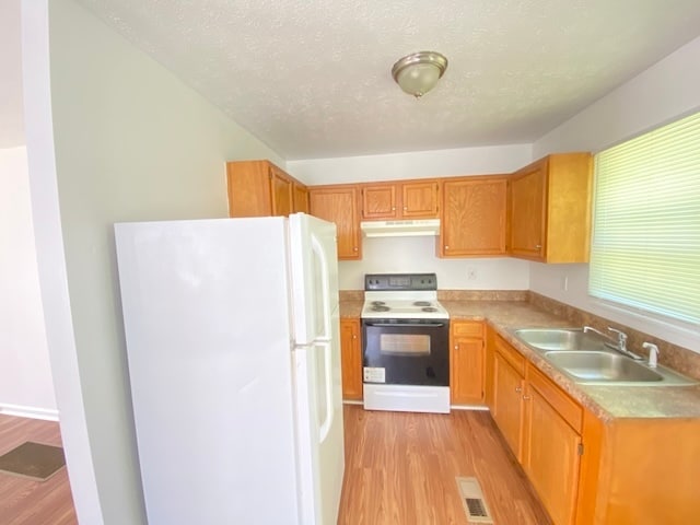 Building Photo - 284 Tiny Rd