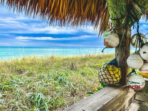 Building Photo - 10200 S Ocean Dr