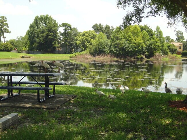 Building Photo - OVIEDO 3BR 2BA home in Alafaya Woods! Fenc...