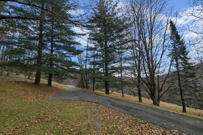 Building Photo - Light-Filled 3BR Home with Wraparound Deck, Convenient to Town