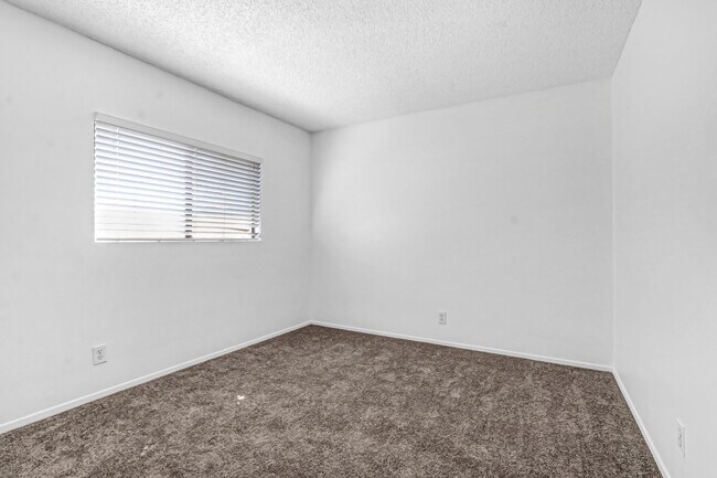 Building Photo - 3221 Triumph Ln