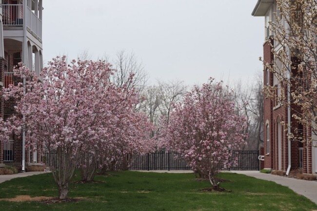 Building Photo - 1479 McCleary Ln