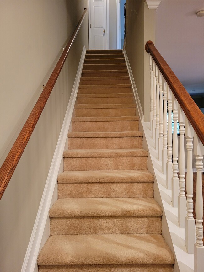 Stairs by the front door - 205 Woodstone Dr