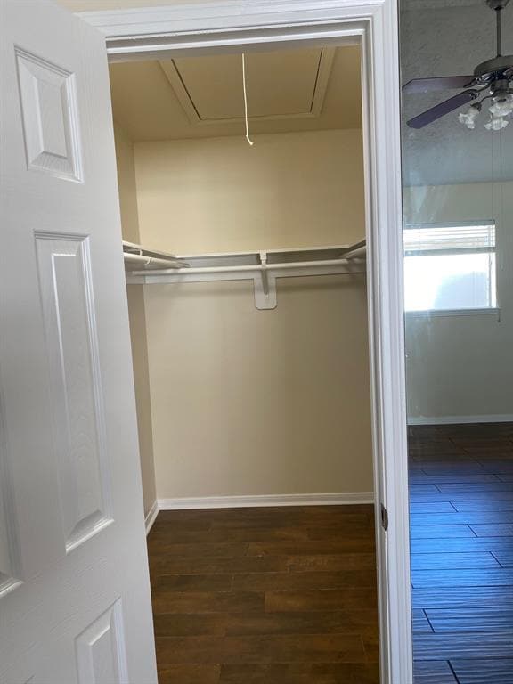 Building Photo - 24 Chapparal Ct