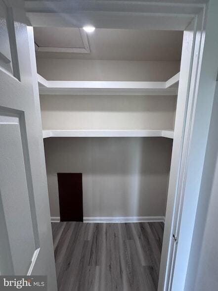 Building Photo - 2049 Lucas Ln