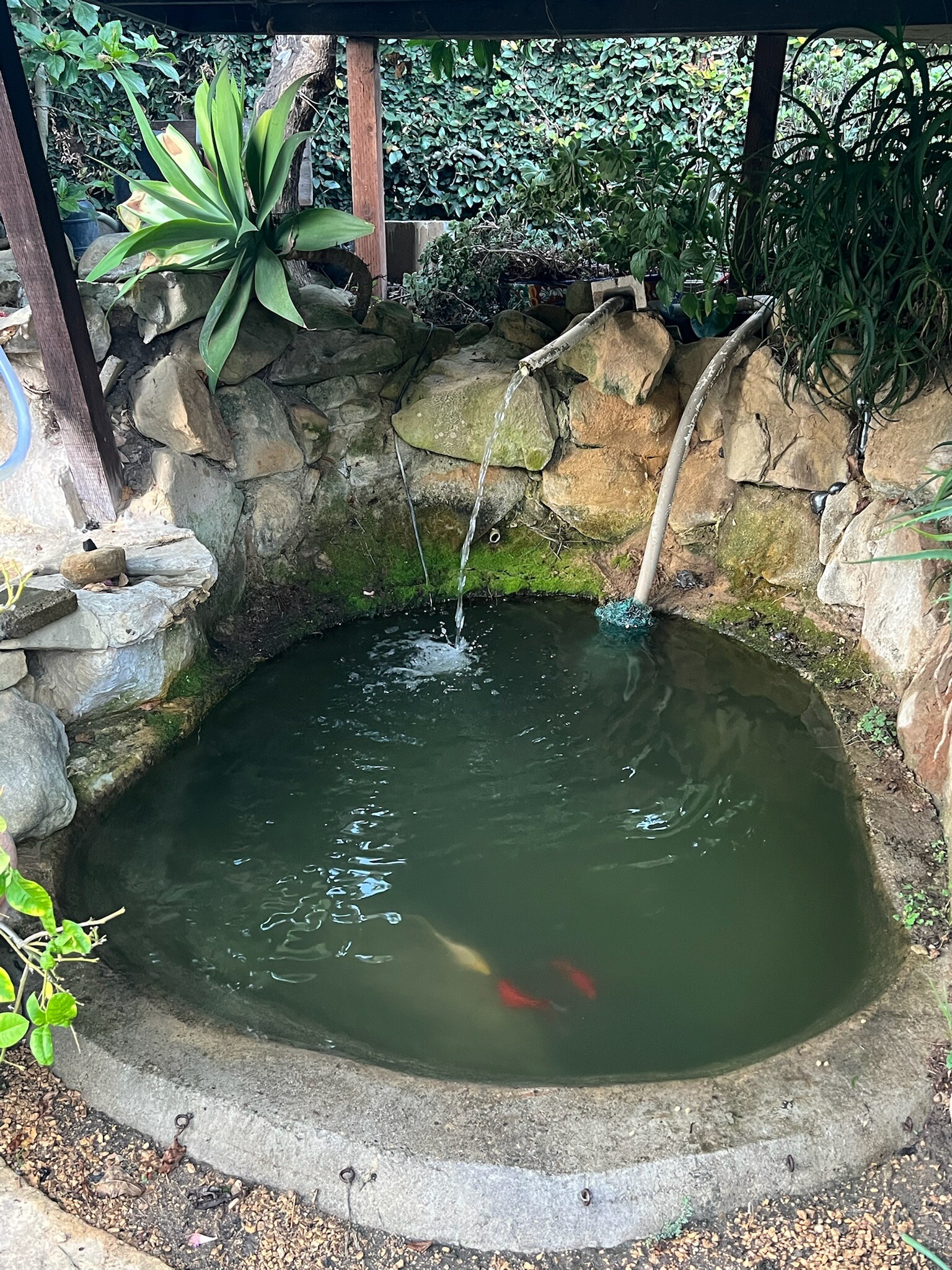 Building Photo - 2034 Gillespie St