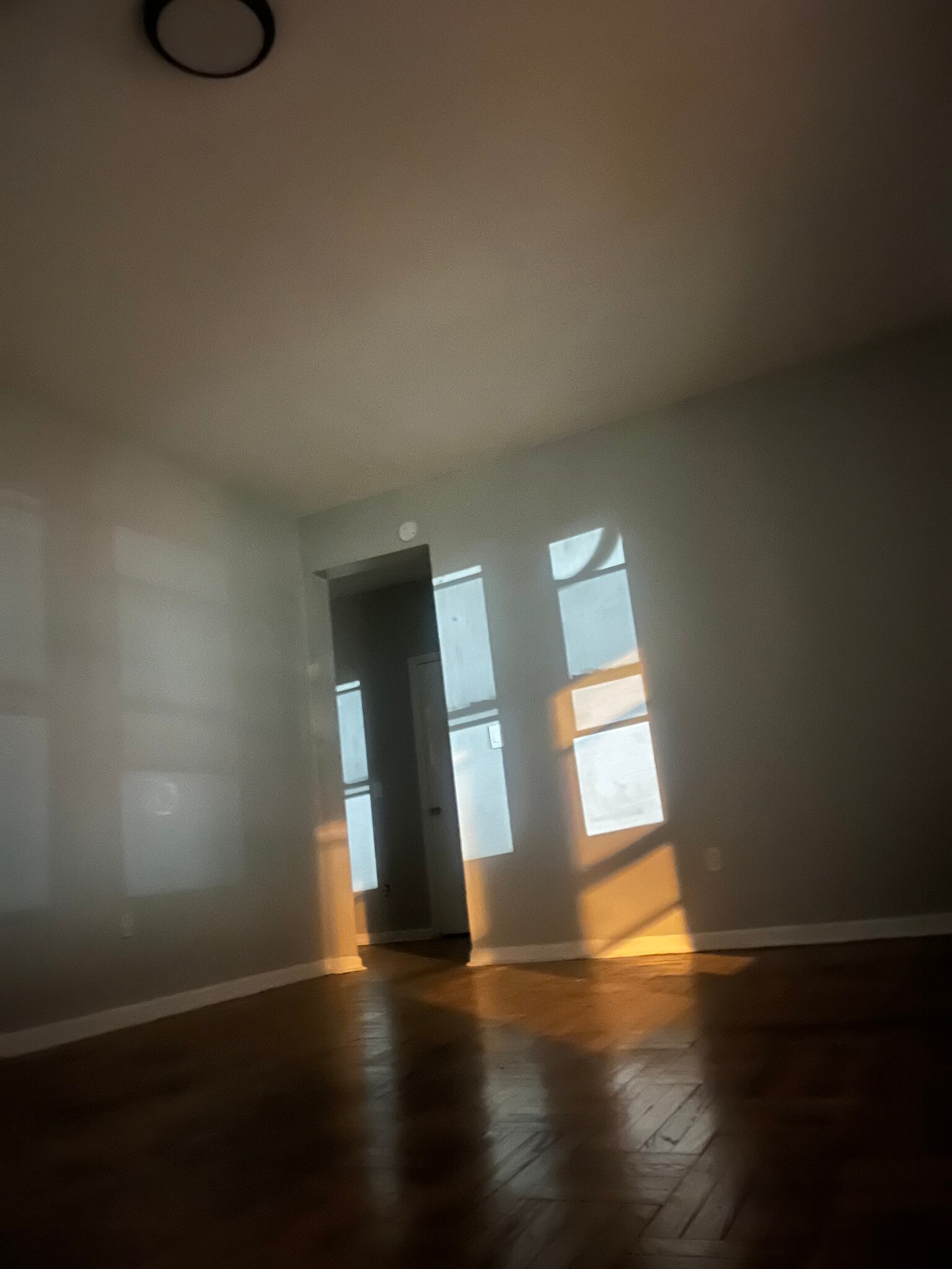 Building Photo - 433 Lincoln Ave