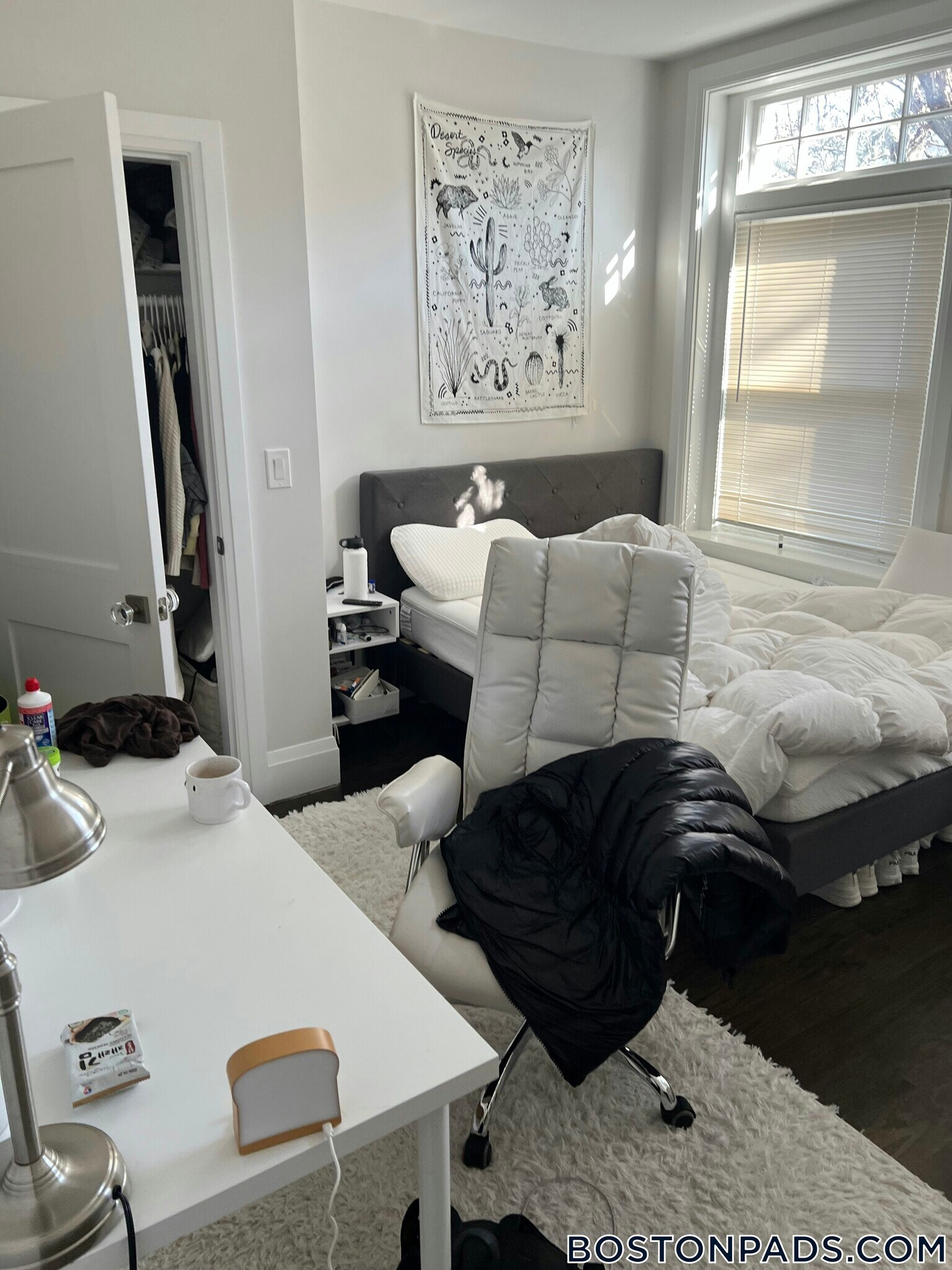 Building Photo - 7 Strathmore Rd