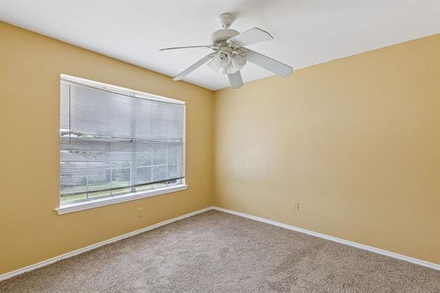 Building Photo - 12719 Bluffview Dr