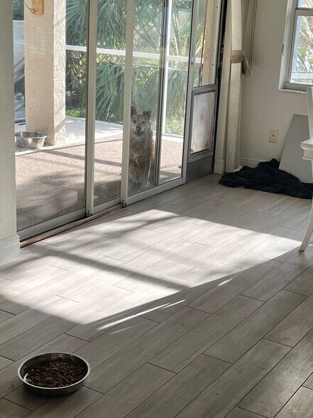 Doggie Door - 5780 Osprey Rd