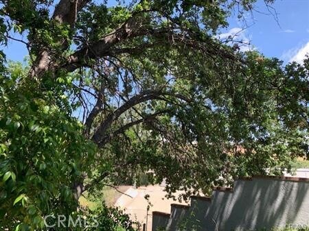 Building Photo - 29111 Thousand Oaks Blvd