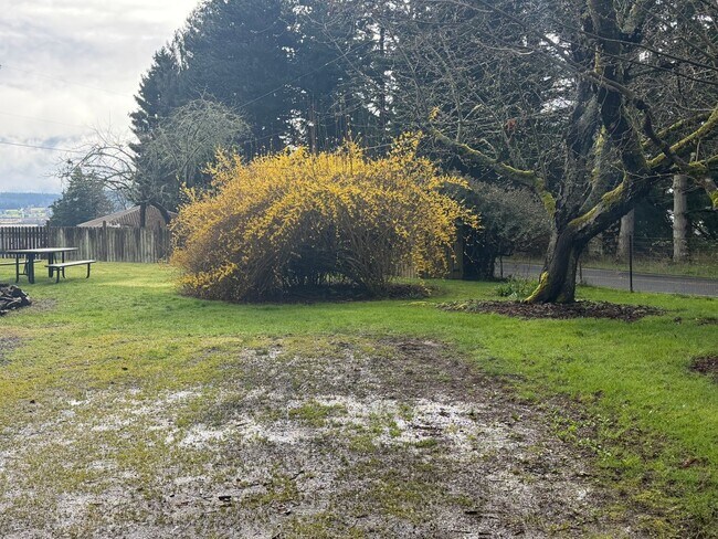 Building Photo - Updated and Stylish Studio Includes Utilities!