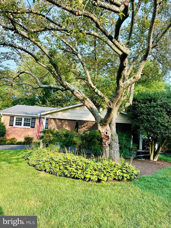 Building Photo - 6707 Grey Fox Dr
