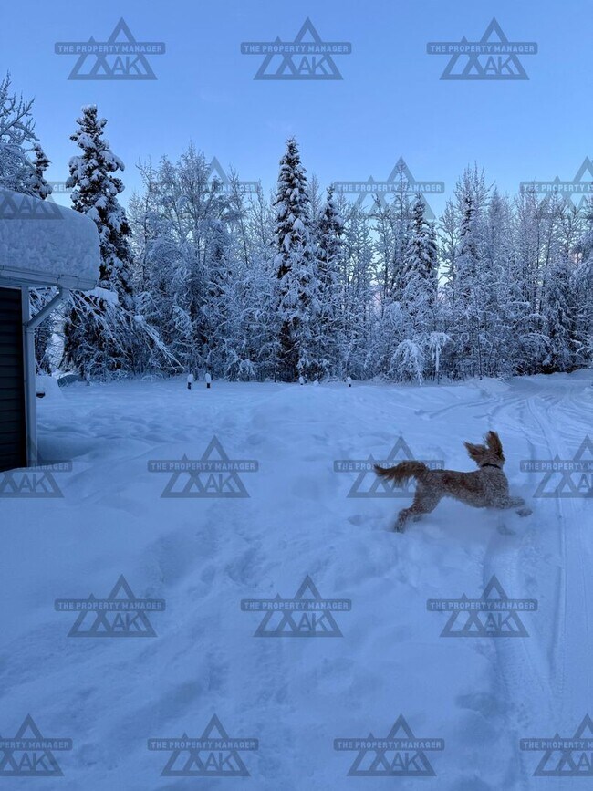 Building Photo - Charming Pet-Friendly 3-Bedroom Home with Garage & Wood Stove – North Pole