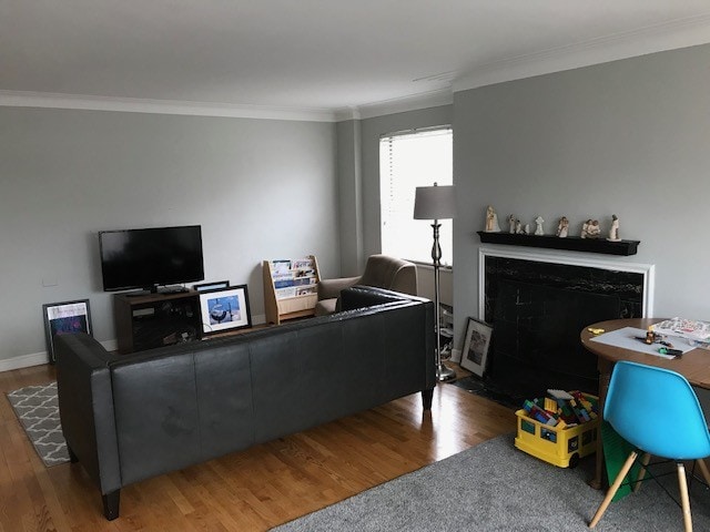Living room - 435 N Oak Park Ave