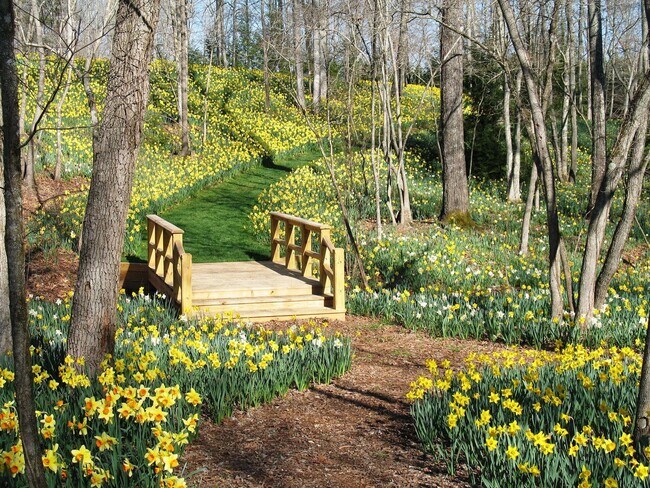 Building Photo - 834 Calvin Park Dr