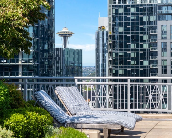City Views from Rooftop - 819 Virginia St