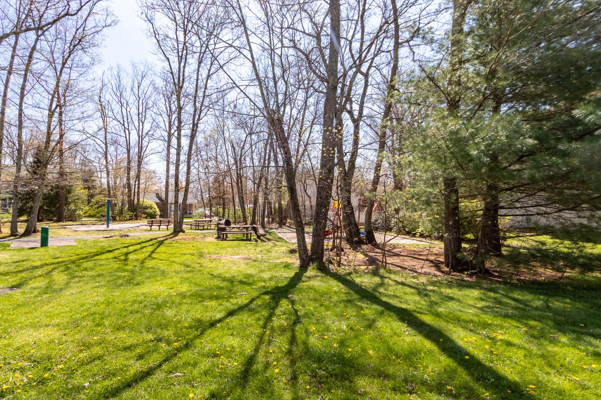 Building Photo - 109 Clemson Ct