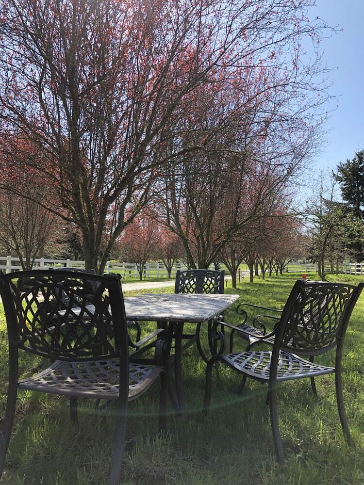 Outdoor common Areas - 6236 Cate Farm Ct SE