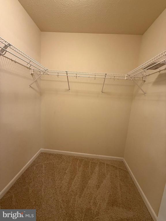 Building Photo - 45586 Curley Ct