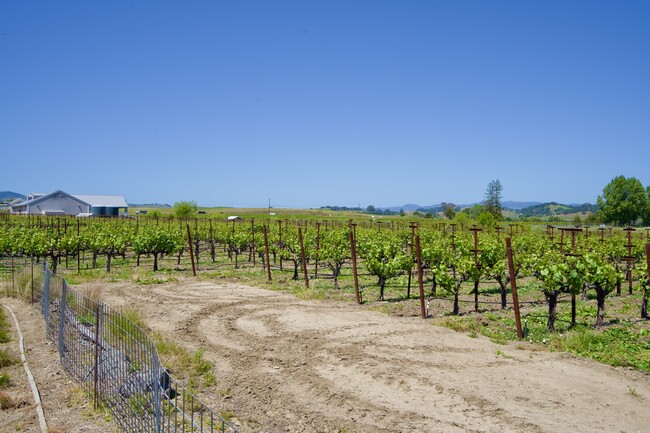 Building Photo - 1101 Los Carneros Ave