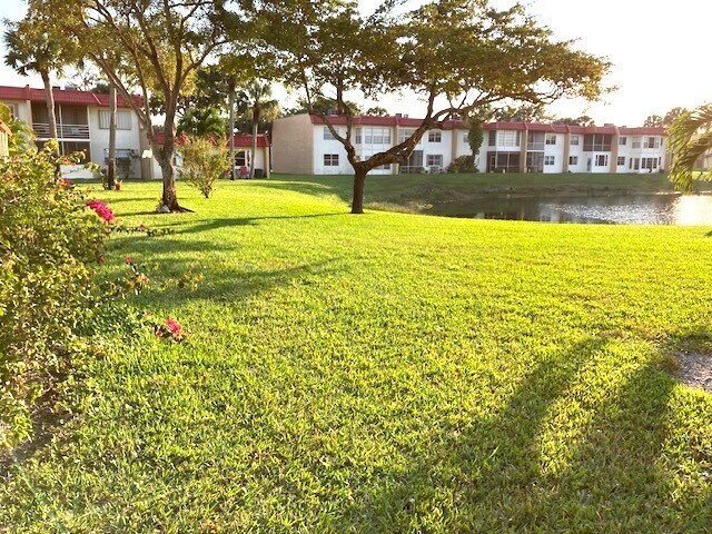 Backyard - 317 Lake Evelyn Dr