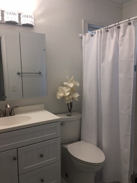 Bathroom - 649 Royal Palm Blvd