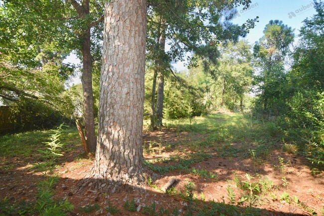 Building Photo - 2 Bedroom Duplex For Lease