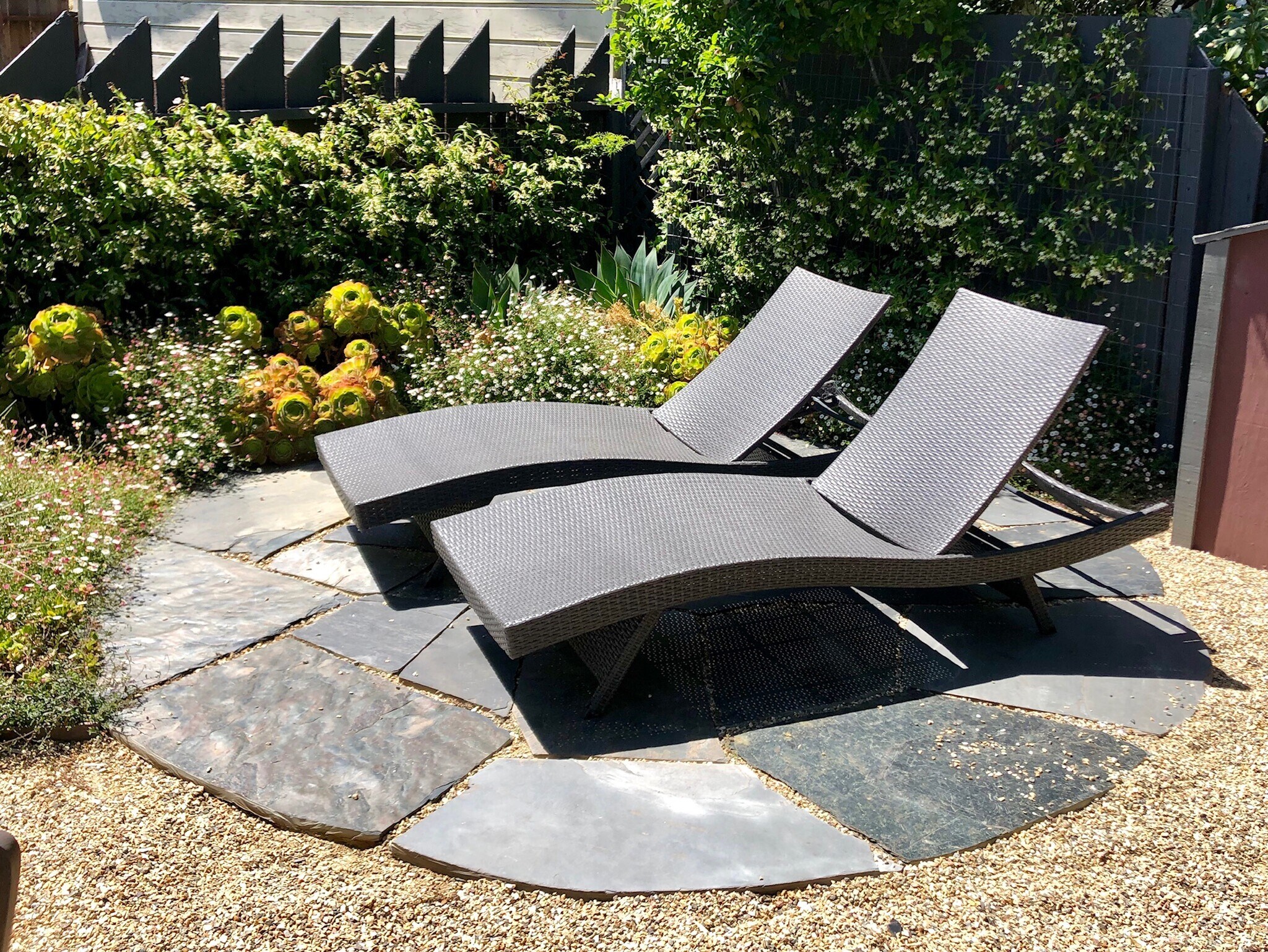 Shared garden - 1528 Fulton Street