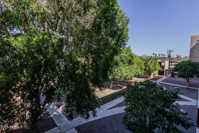 Building Photo - 353 E Thomas Rd