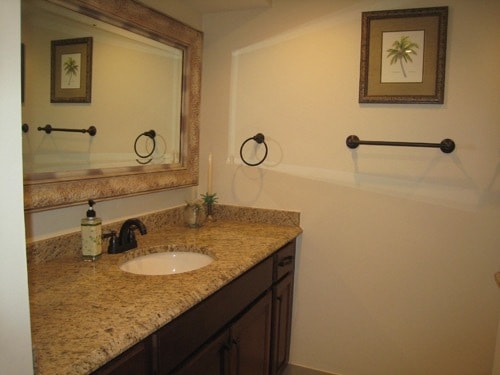 large 2nd bathroom - 225 Deer Creek Blvd