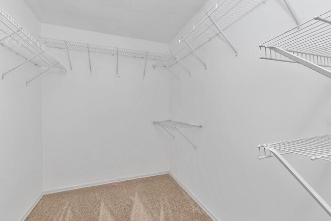 Building Photo - 1126 Tiverton Ct