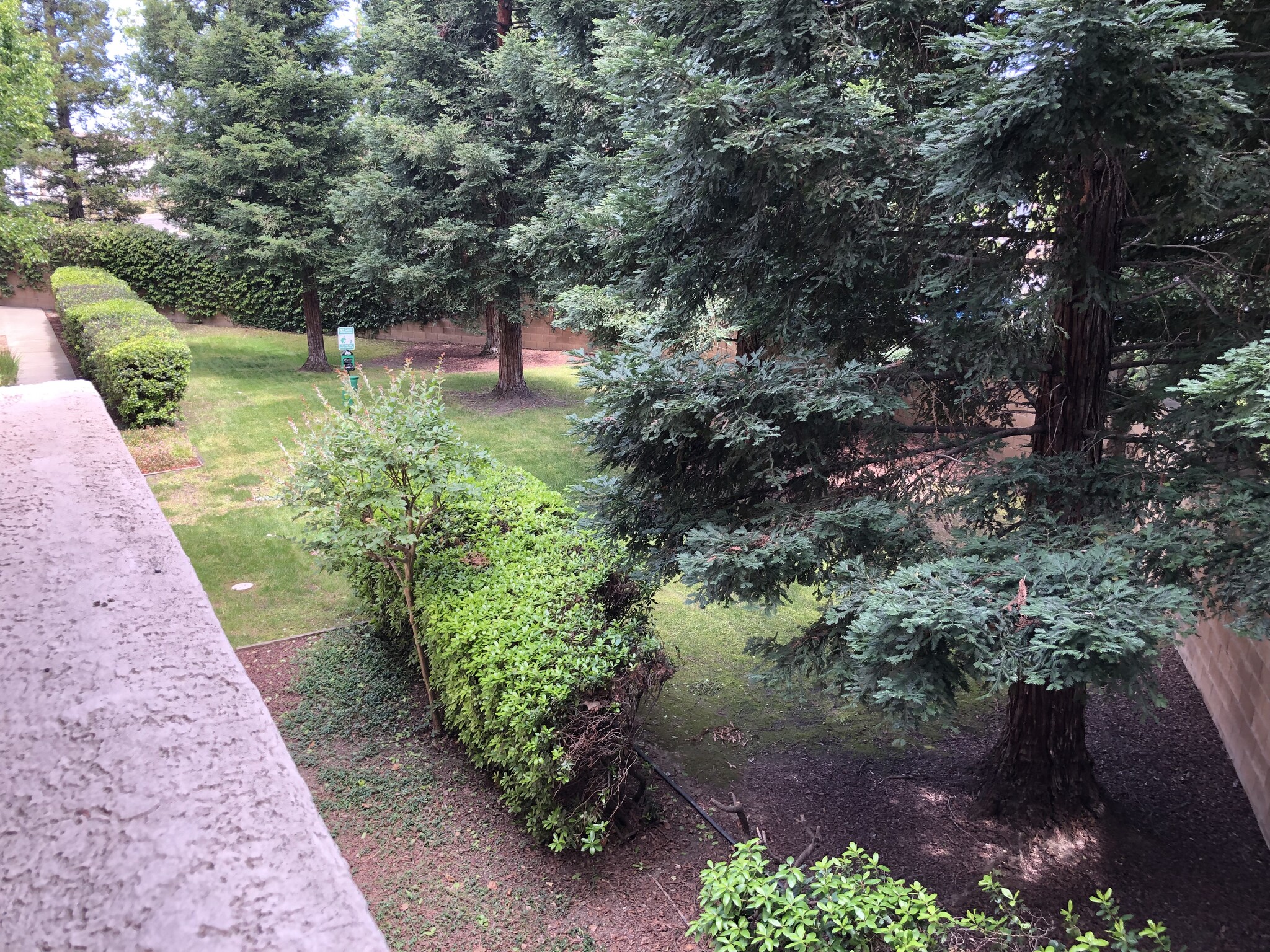 View from the wrap around patio - 10001 Woodcreek Oaks Blvd