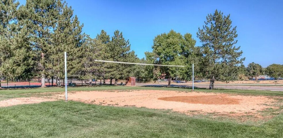 Volleyball - 3161 Madison Ave